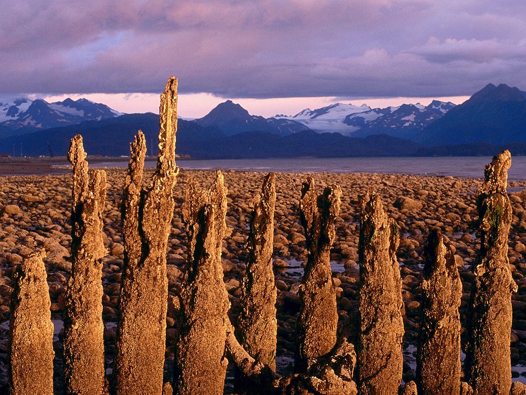 Low Tide, Homer, Alaska
